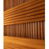 Sauna Thermo Aspen