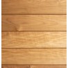 Latte mur/plafond STS 15x120mm THERMO TREMBLE