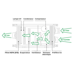 Schéma de la circulation de l'air DDF