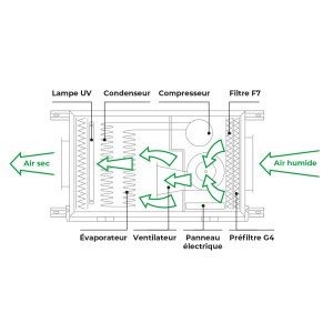 Schéma de la circulation de l'air DD