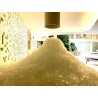 Machine à paillettes de glace 120kg/jour