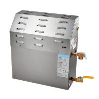 GENERATEUR DE VAPEUR